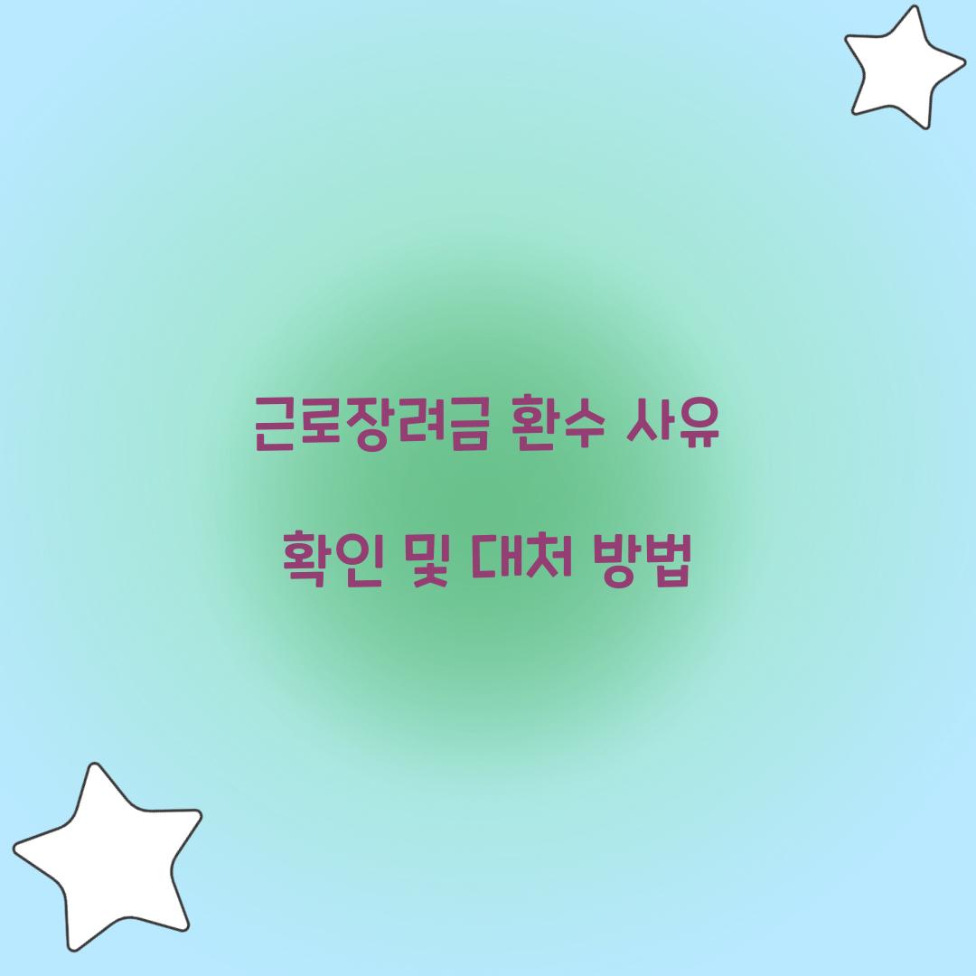 근로장려금 환수 사유