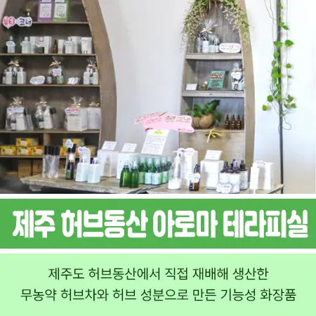 제주도 허브동산 별빛놀이 야간개장