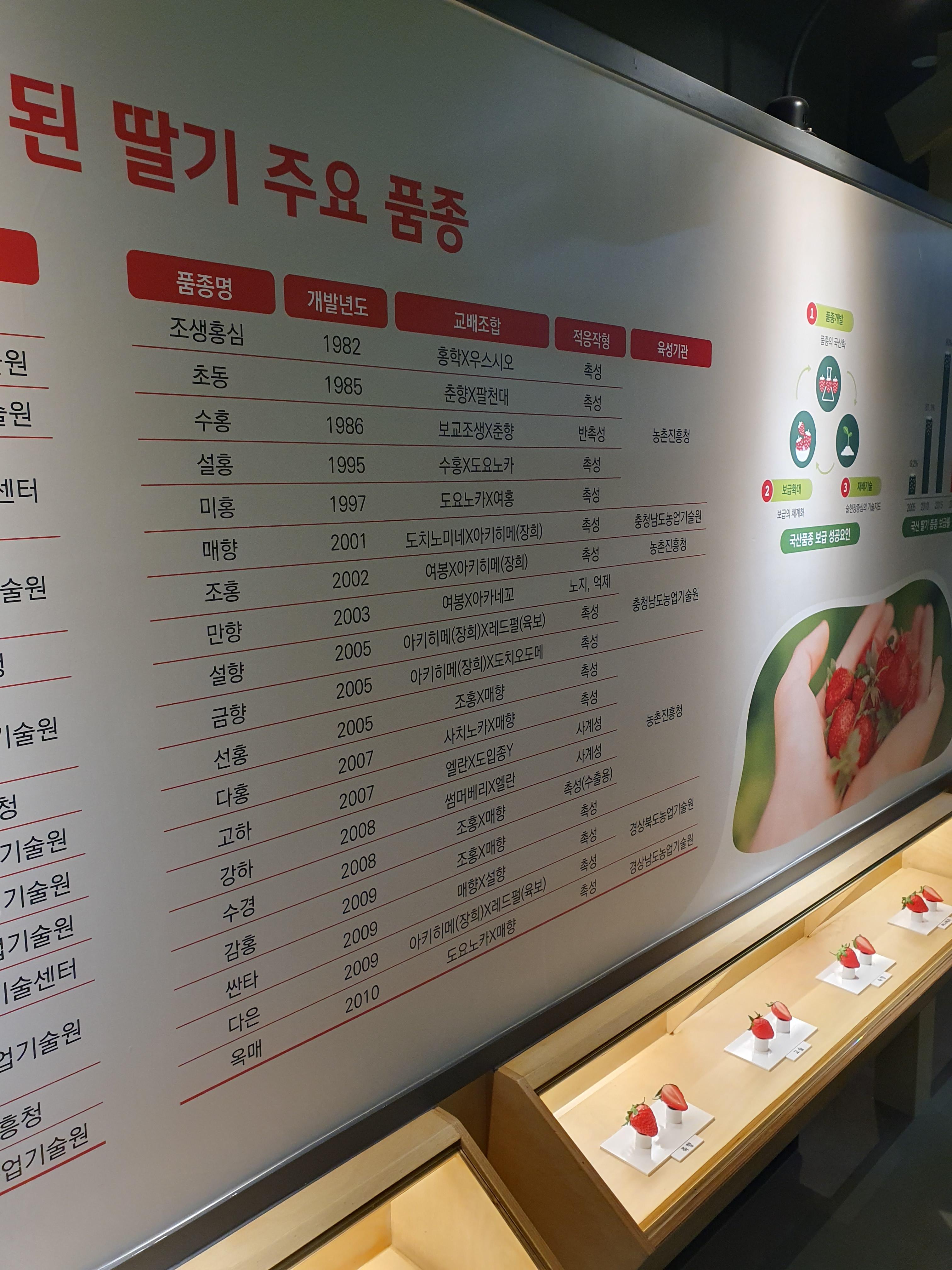 논산 딸기테마관 우리나라 딸기 품종의 종류2