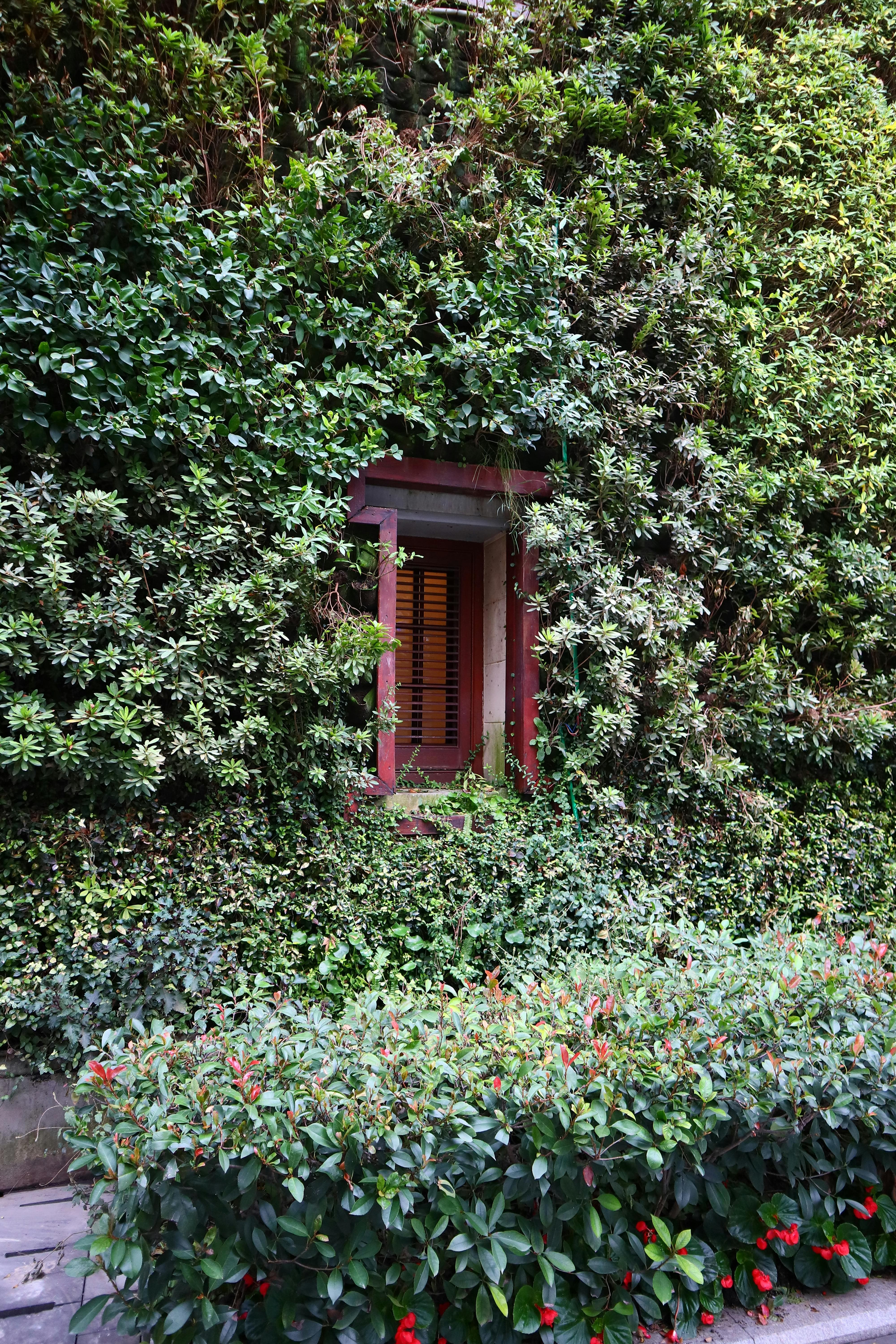 친환경 건축자재의 장점과 선택 기준