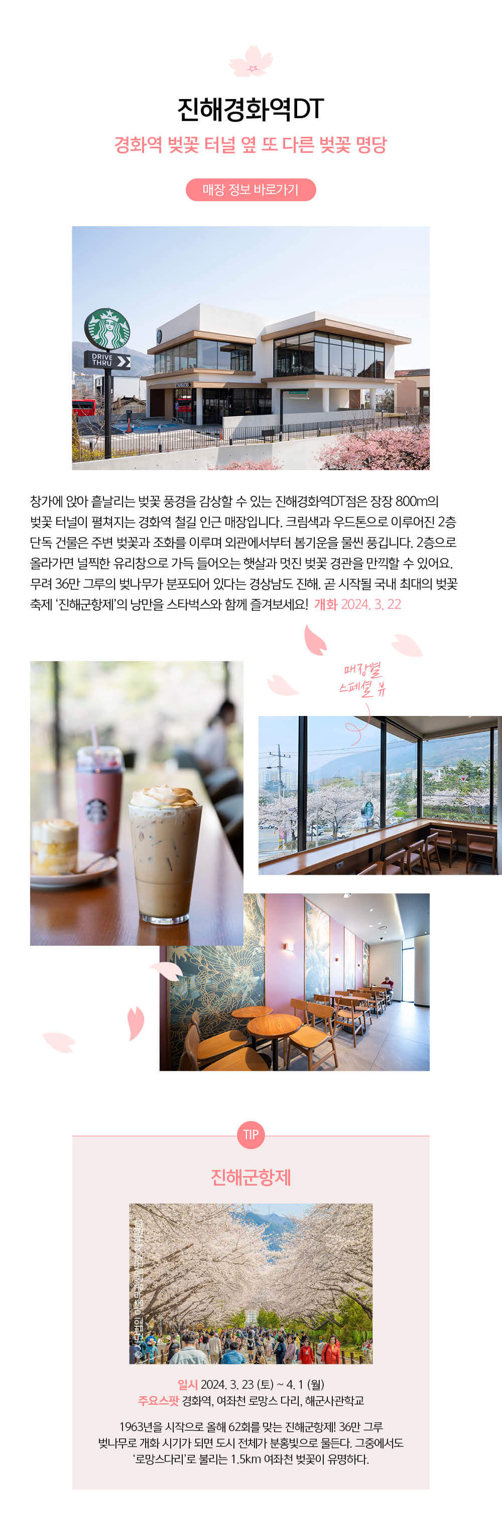 스타벅스 벚꽃뷰 매장 진해