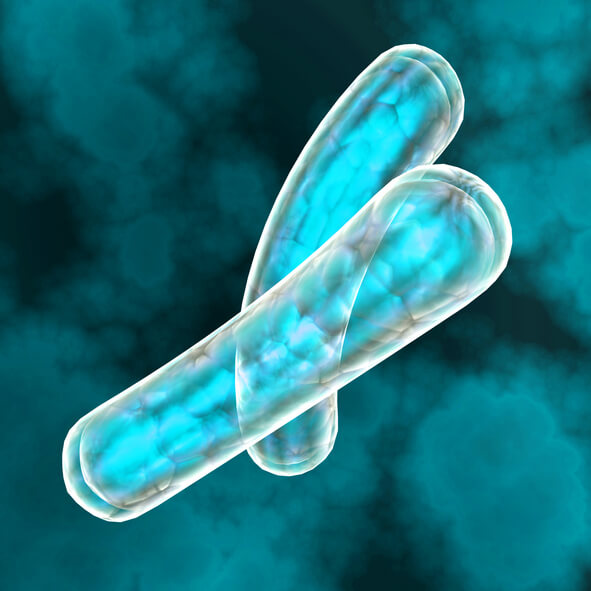 암세포를 표현한 그림