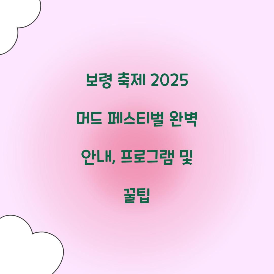 보령 축제 2025 머드 페스티벌