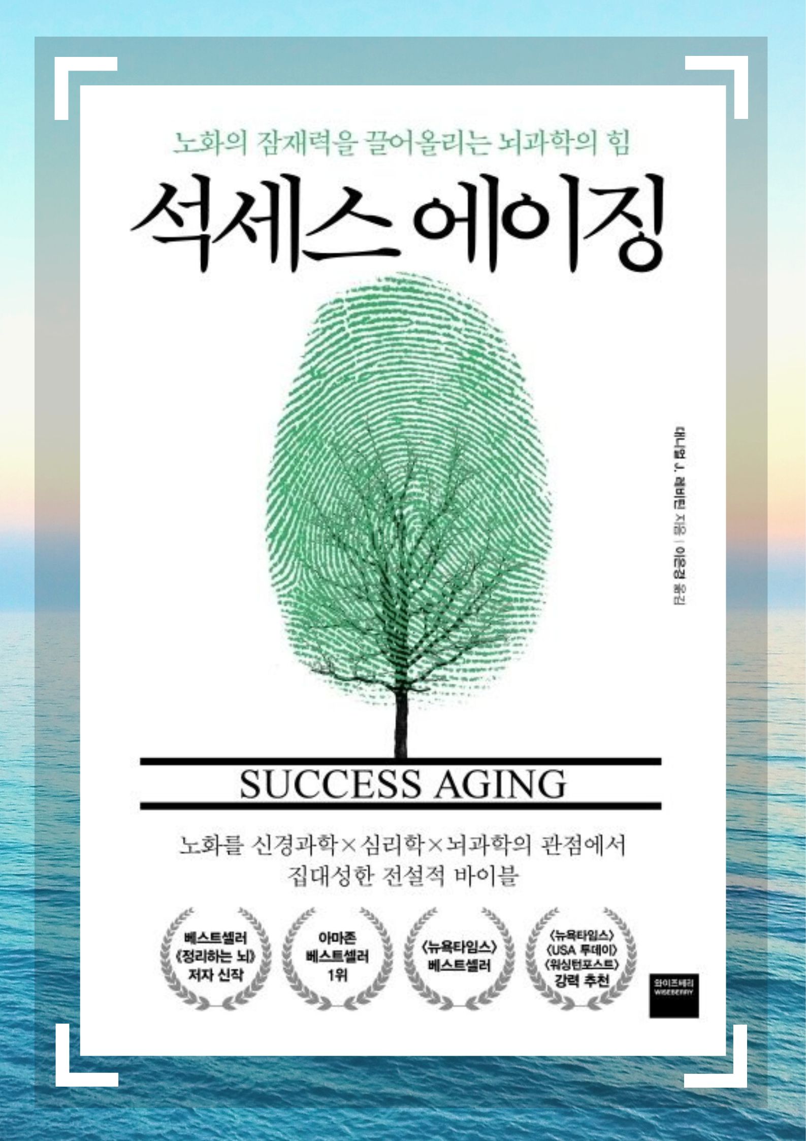 석세스에이징