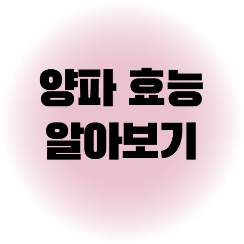 양파