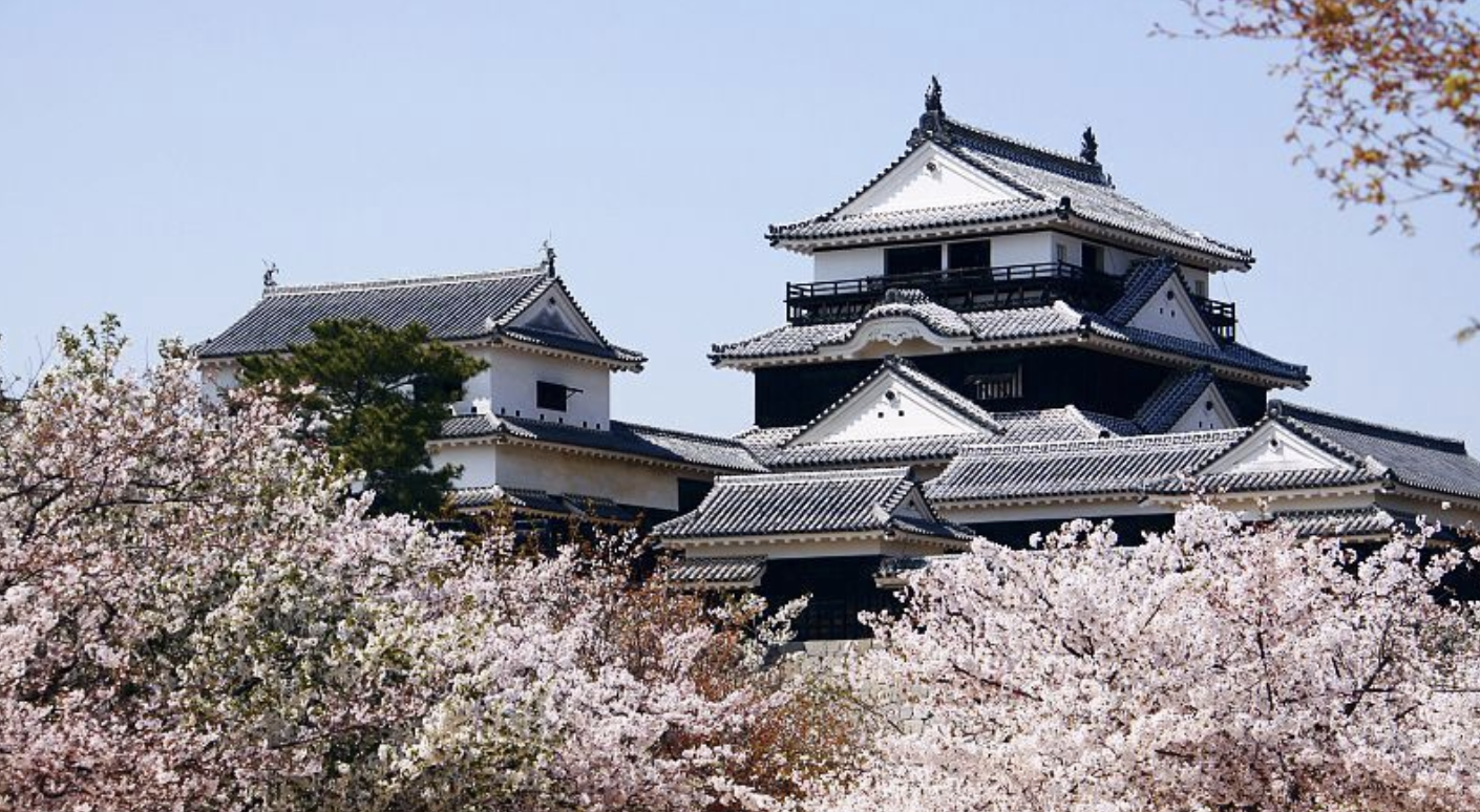 마쓰야마 여행 정보