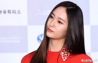 정수정 배우 프로필 나이 가족 언니 제시카 에프엑스