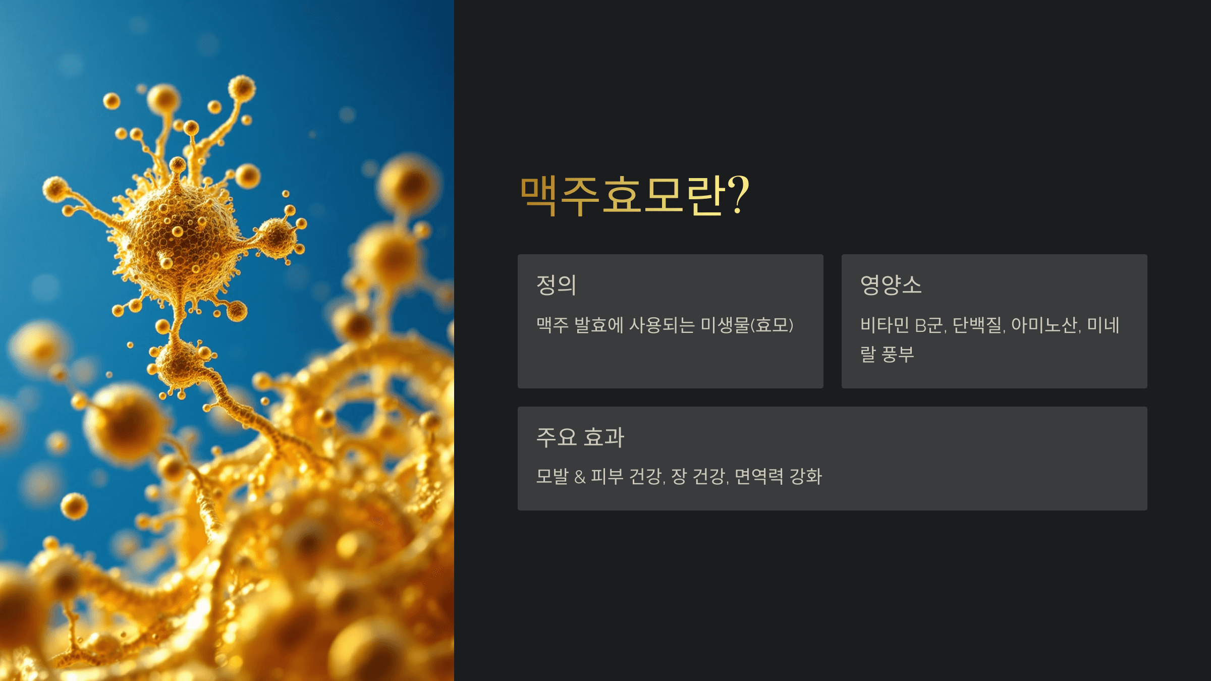 맥주효모 사진입니다.