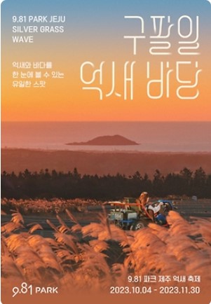 11월 전국 축제 일정표