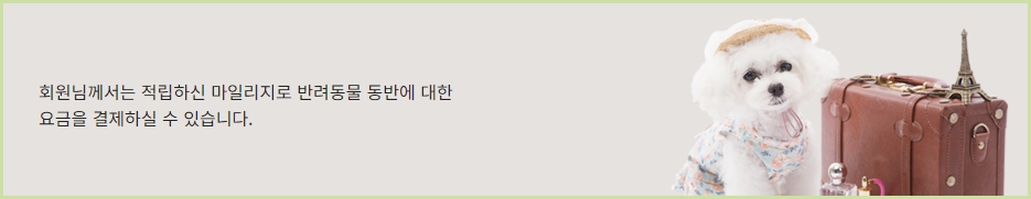 <부가서비스> 아시아나 마일리지 항공권 예약 - 출처: 아시아나항공-