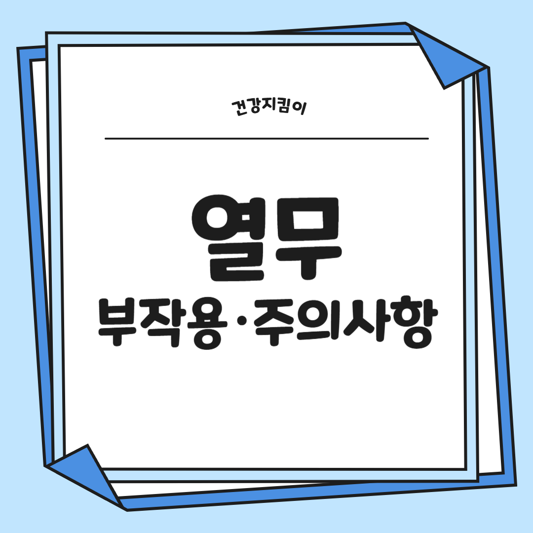 열무 효능 부작용 고르는법 칼로리