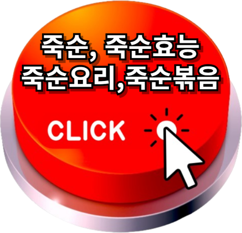죽순, 죽순효능, 죽순요리, 죽순볶음