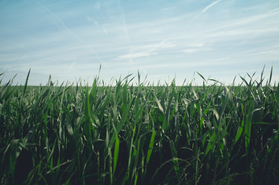 Agricultural