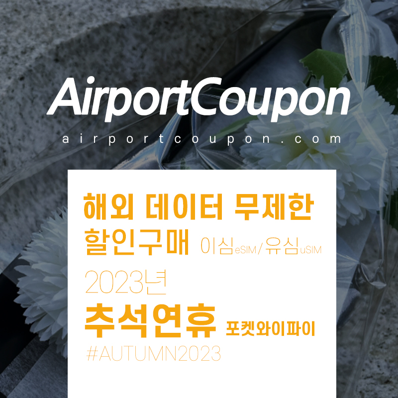 9월 - 10월 포켓와이파이&#44; 유심&#44; 이심 할인구매 uSIM vs 에어알로 eSIM 일본&#44; 베트남&#44; 필리핀&#44; 미국&#44; 유럽지역 해외 데이터 무제한 비교