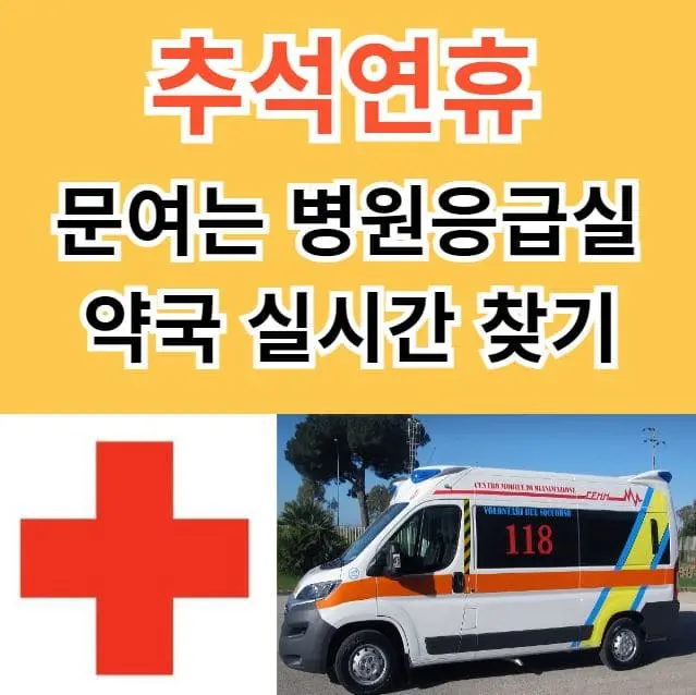 추석 응급실 약국 실시간 찾기