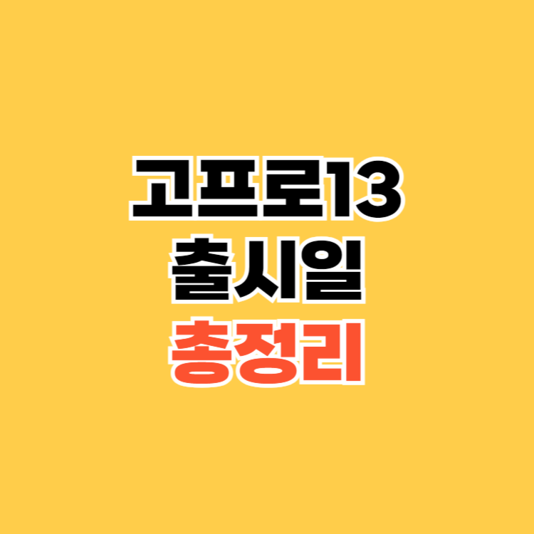 고프로13-출시일
