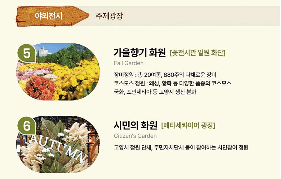 고양 가을꽃축제 실외전시