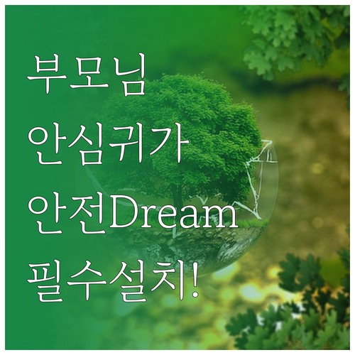 경찰청 안전Dream 서비스와 노인 ..