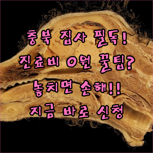 충청북도 반려동물 진료비 지원 대상 ..