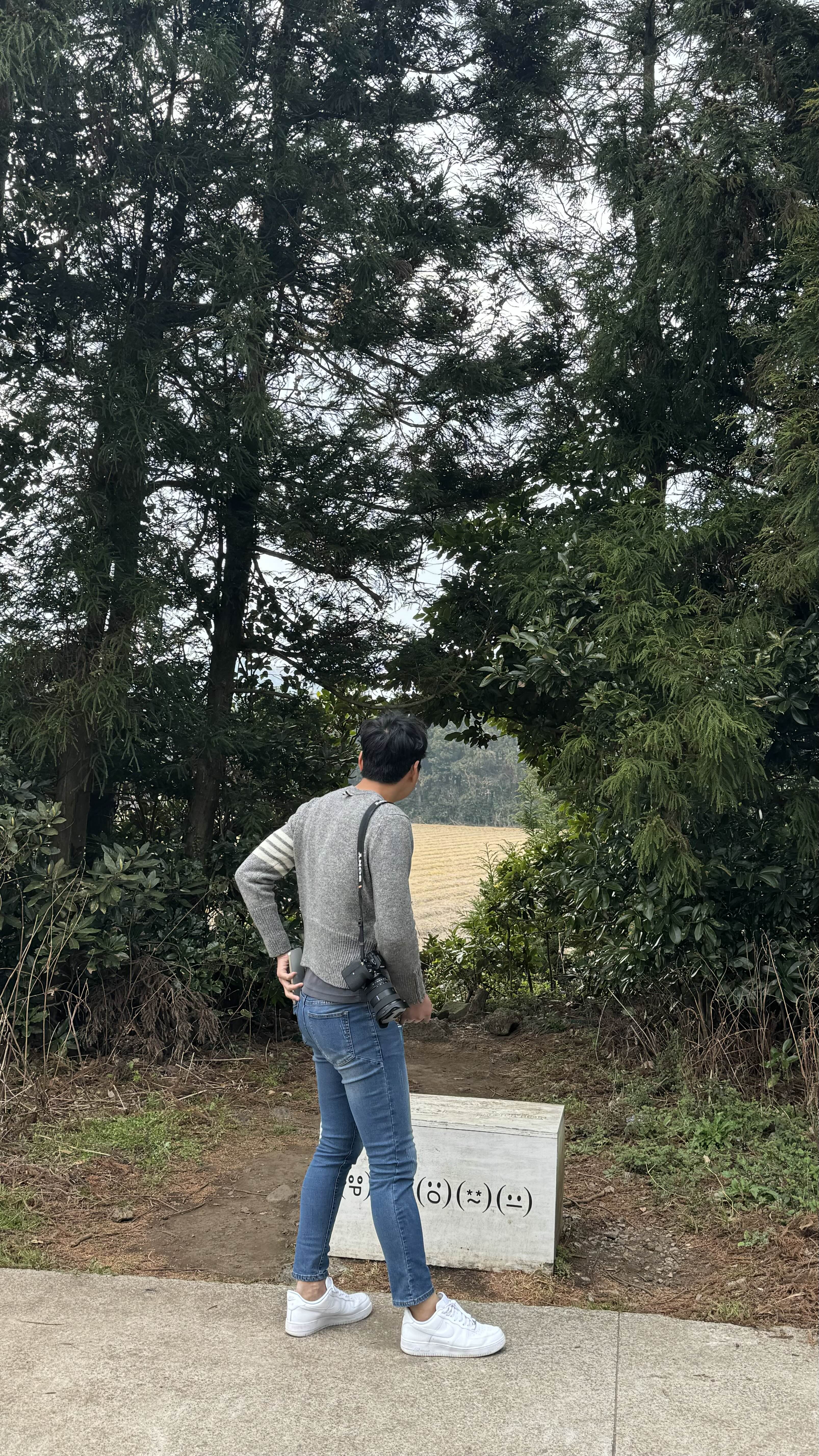 제주도 여행 사진