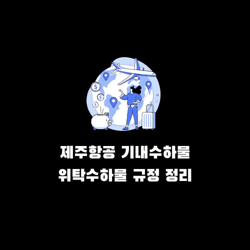 제주항공 기내수하물 위탁수하물 무게 규정, 추가 금액 정리