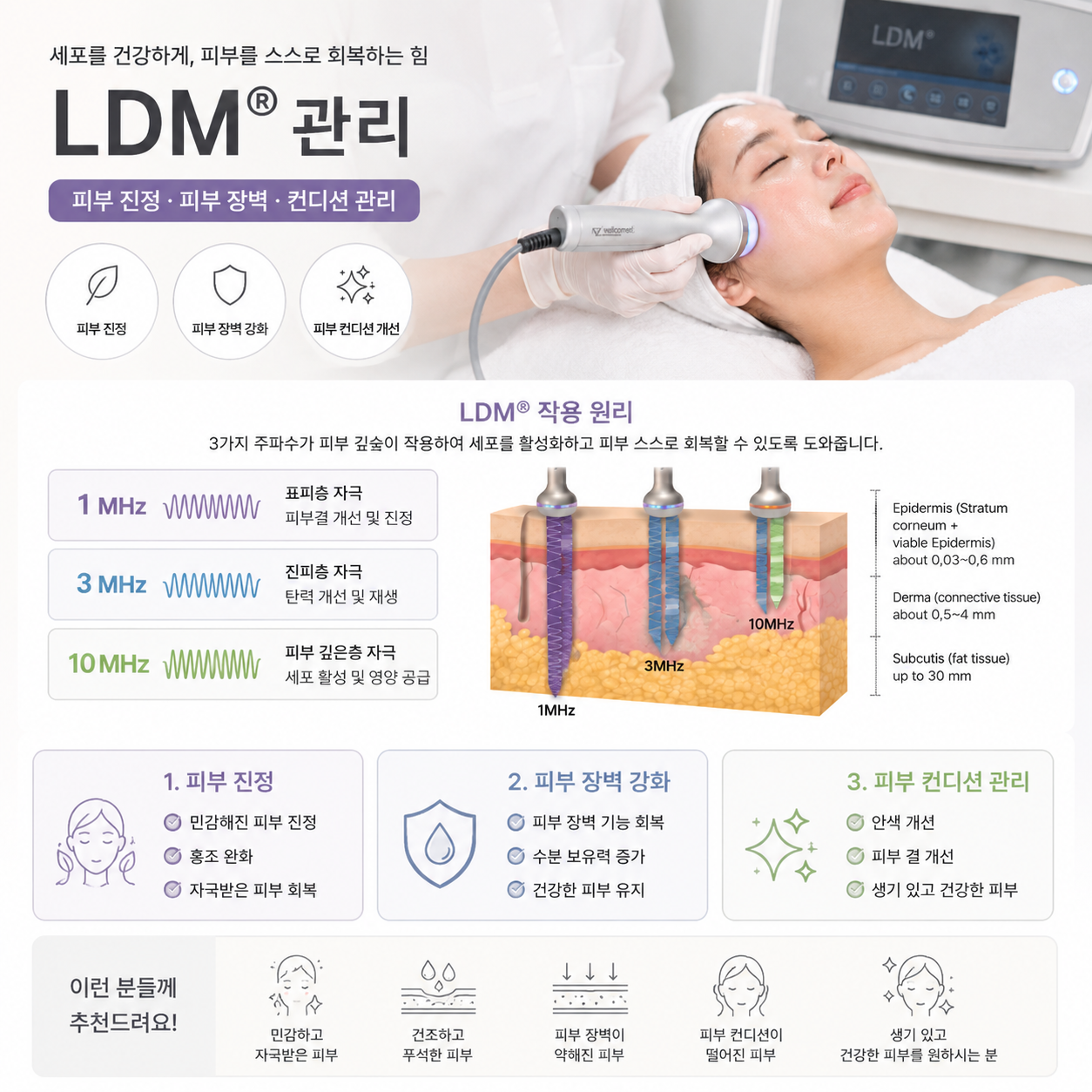 LDM 피부 관리 시술 안내