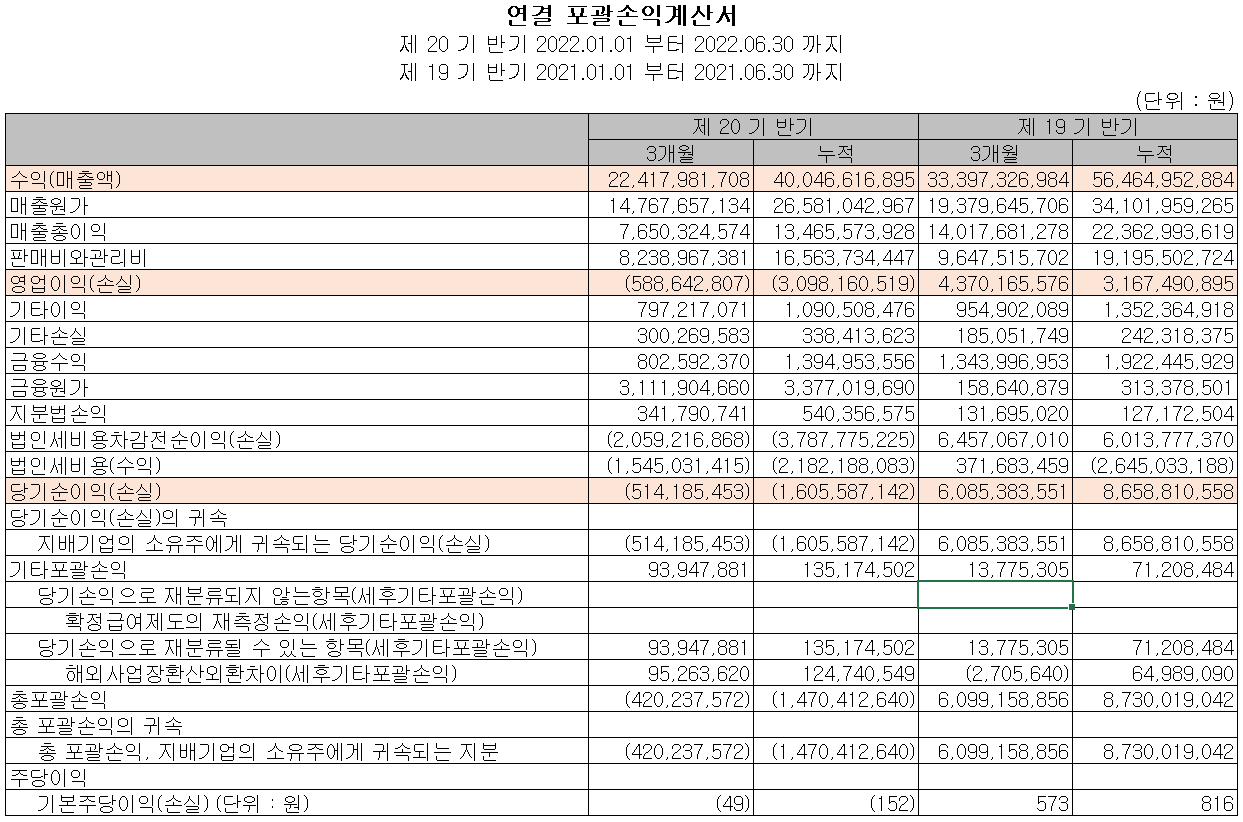 오이솔루션 - 손익계산서
