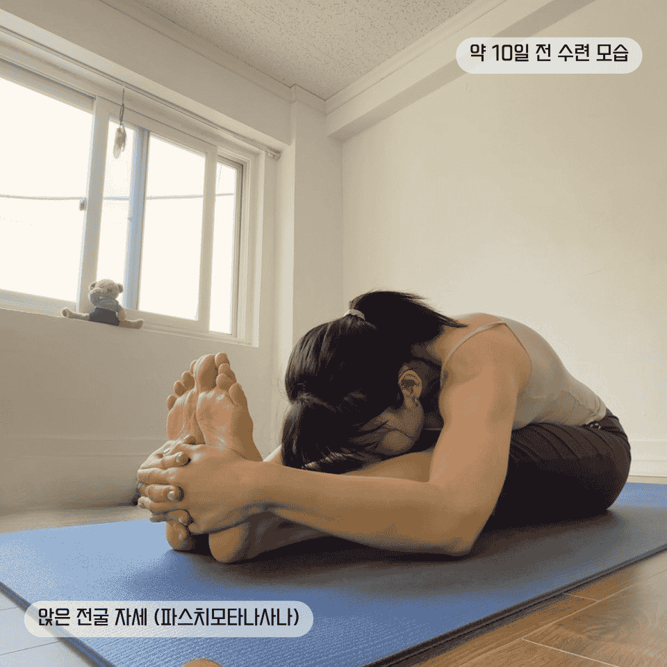 요가 해부학으로 이해하는 앉은 전굴 자세(파스치모타나사나): 몸은 앞으로 숙이는 것이 아니라 길어지는 것이다
