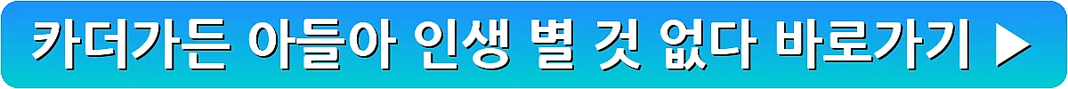 카더가든 아들아 인생 별 것 없다_3