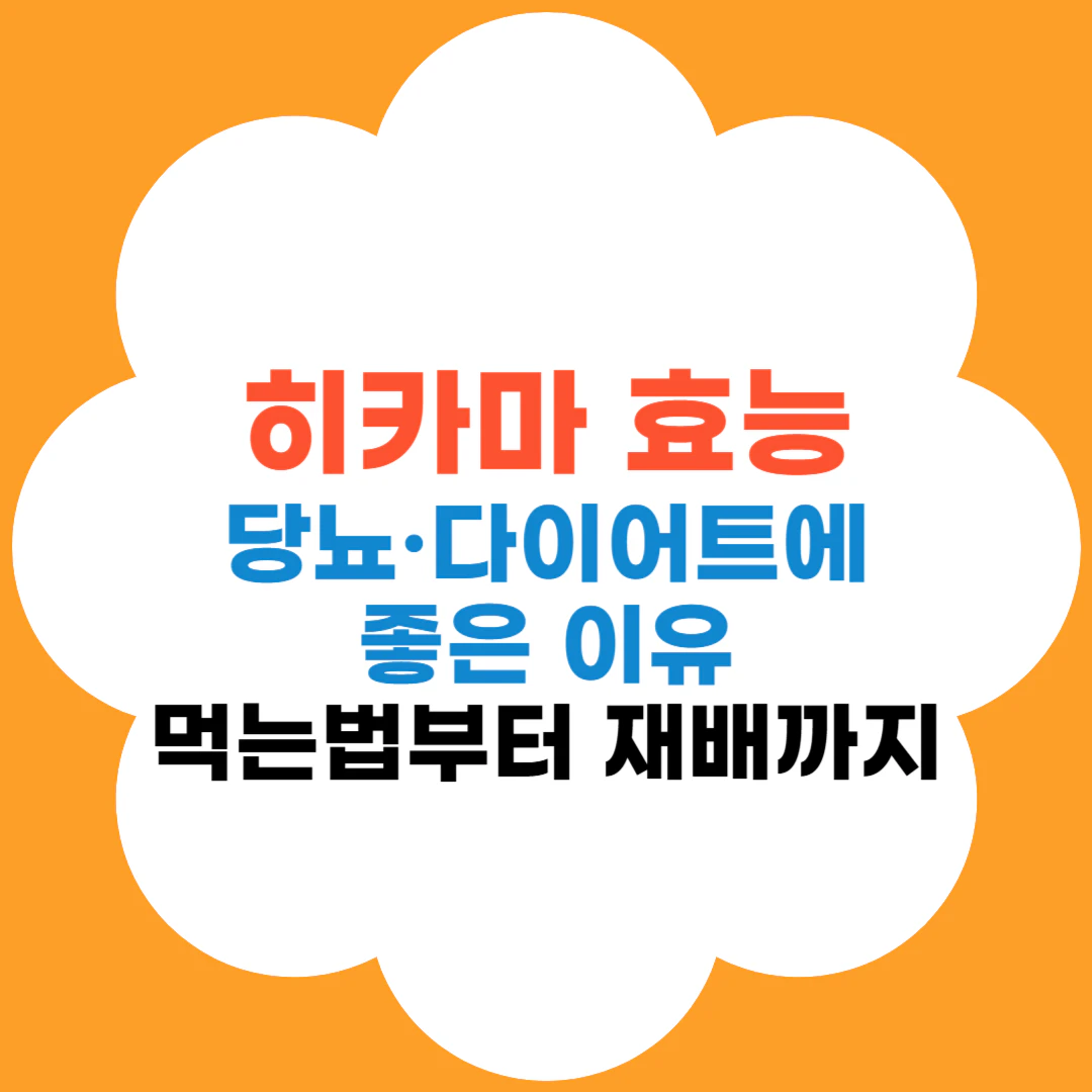히카마 효능
