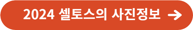 2024 셀토스의 사진