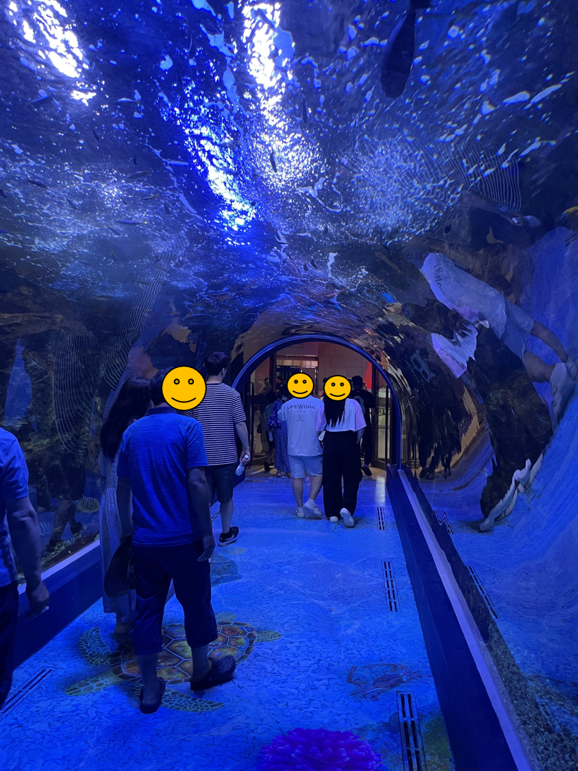 여수 아쿠아플라넷