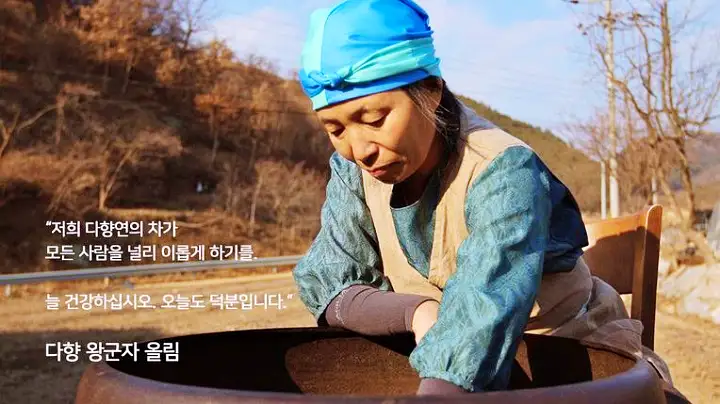 6시내고향 경남 의령 연근차 파는 곳 전국 택배 온라인 전화 주문 추천