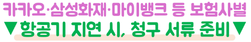 항공기-결항-지연-대처방법-환불-보상-여행자보험-청구