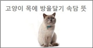 고양이 목에 방울달기 속담 뜻
