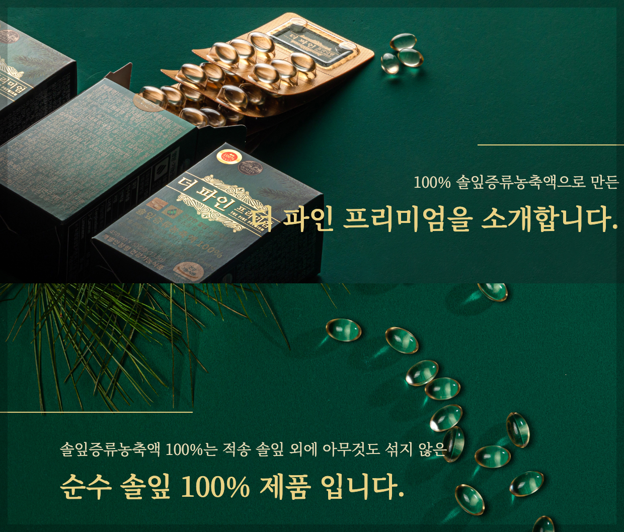 더파인 프리미엄 효능 가격 등 구매 전 3분 살펴보기