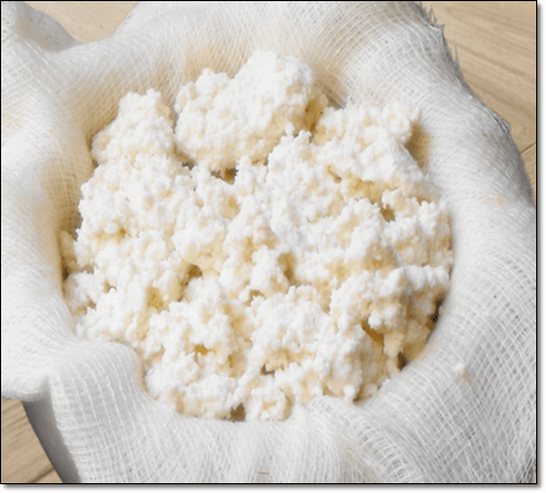 코티지치즈 만들기