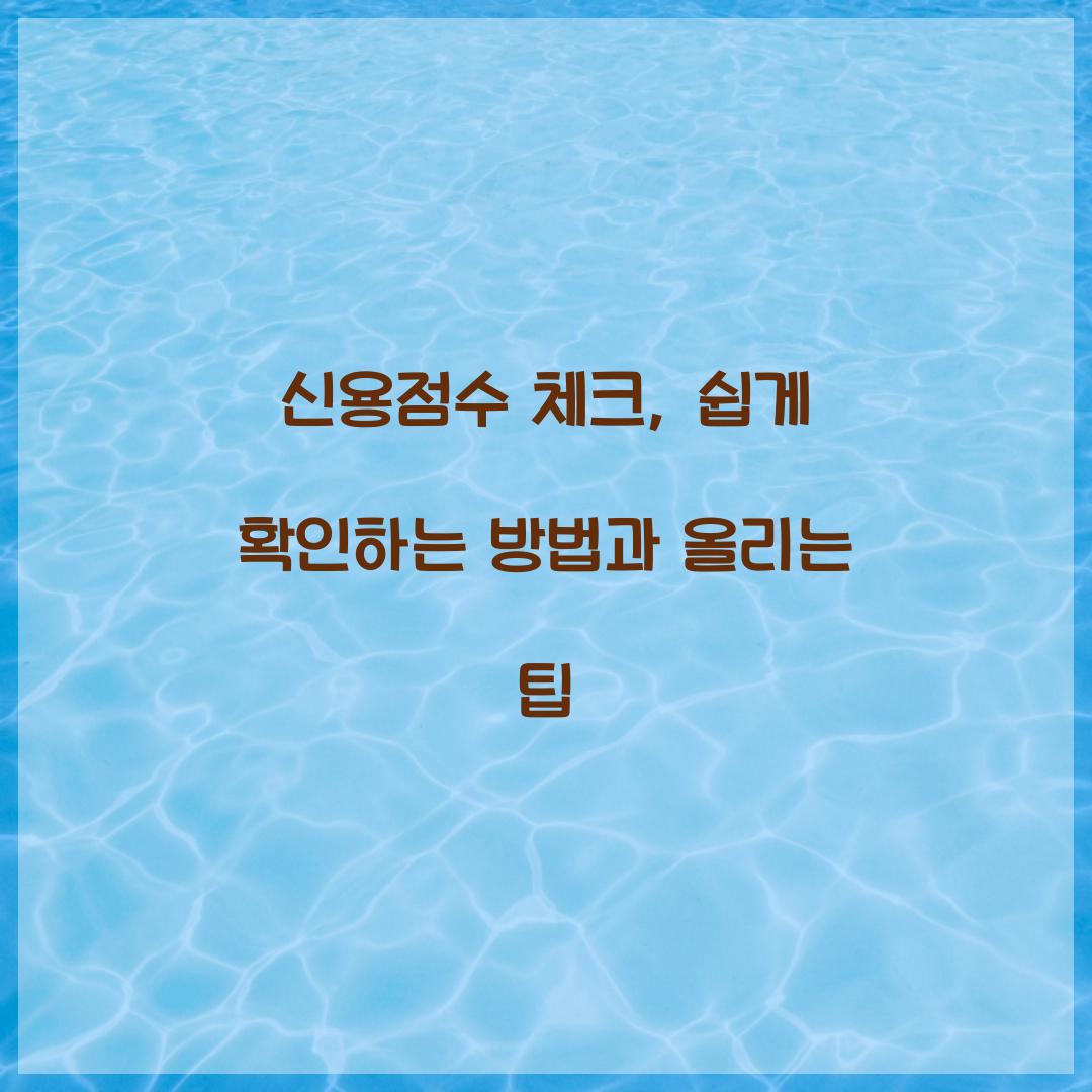 신용점수 체크