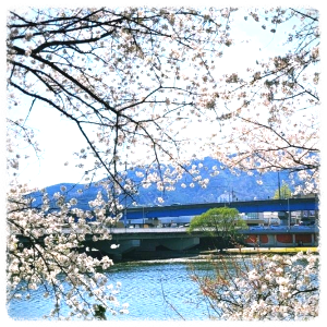 순천 동천 