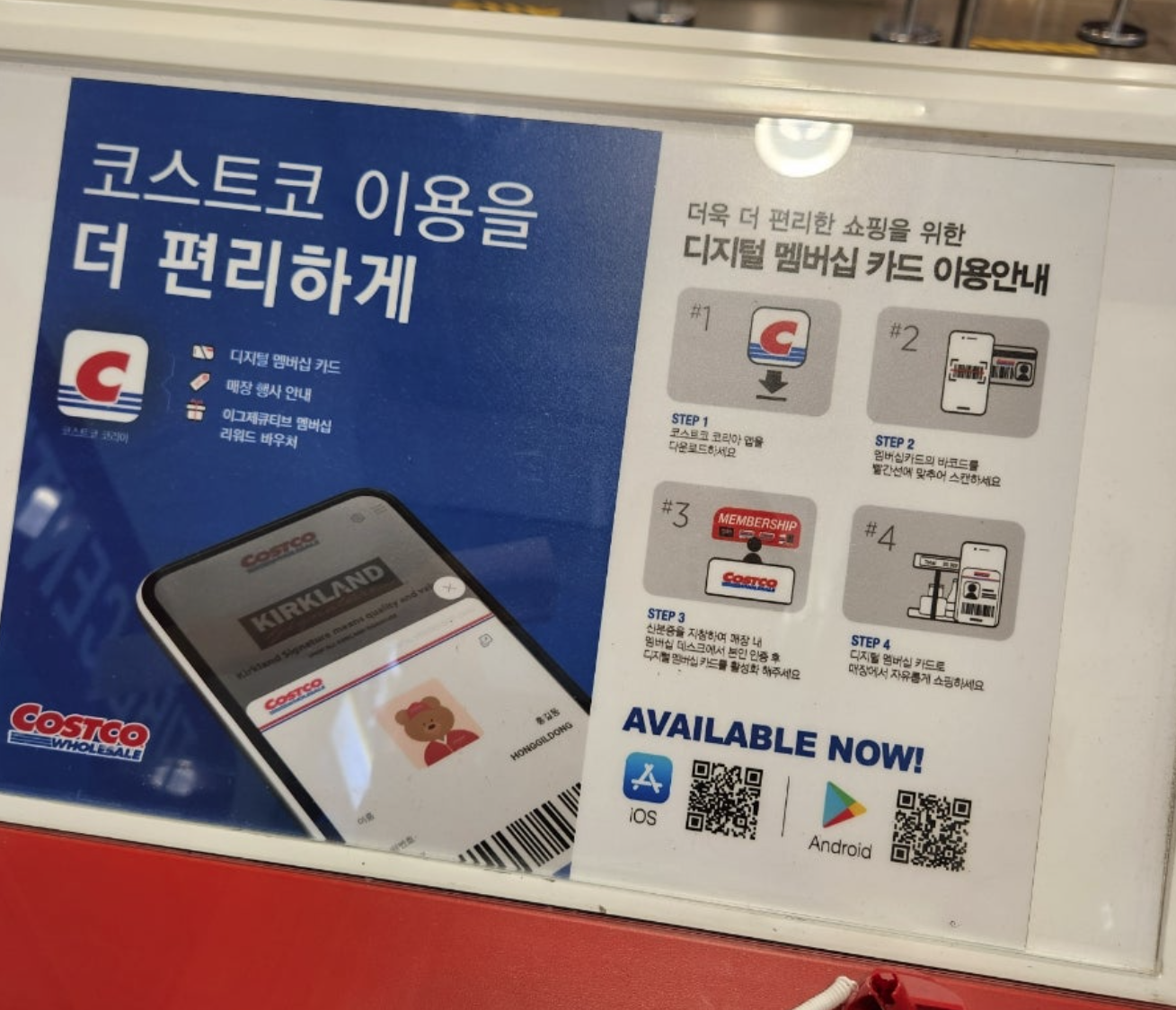 2025년 코스트코 회원권 연회비 인상! 갱신, 추가 발급, 환불까지 완벽 정리