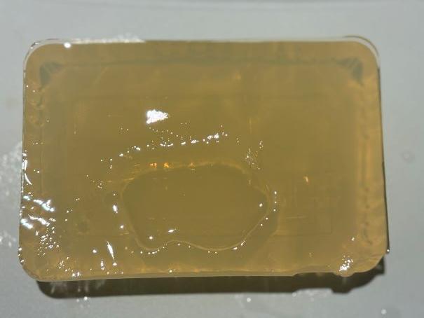 우뭇가사리 콩국