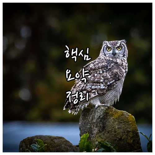 미국 ESTA 수수료 7달러 인상 당..