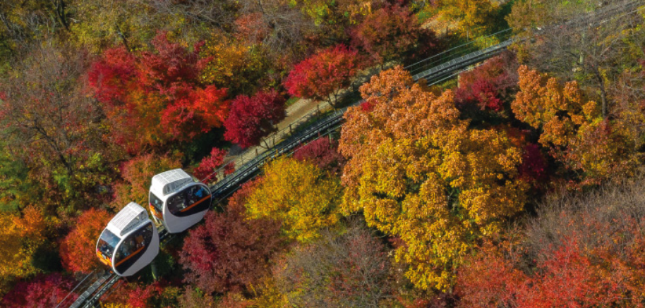 화담숲 모노레일