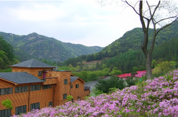 완주 고산 자연휴양림_3