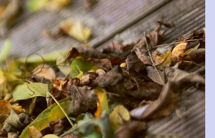 대상포진 치료방법