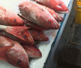 대한민국 수산대전