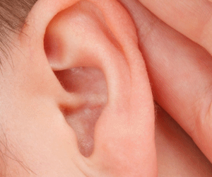 사람 귀 사진
전정신경염 내비이인후기관의 전정신경에 염증을 일으키는 상태