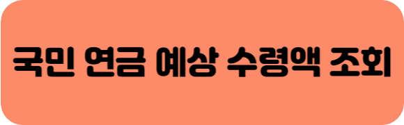 국민연금 예상수령액