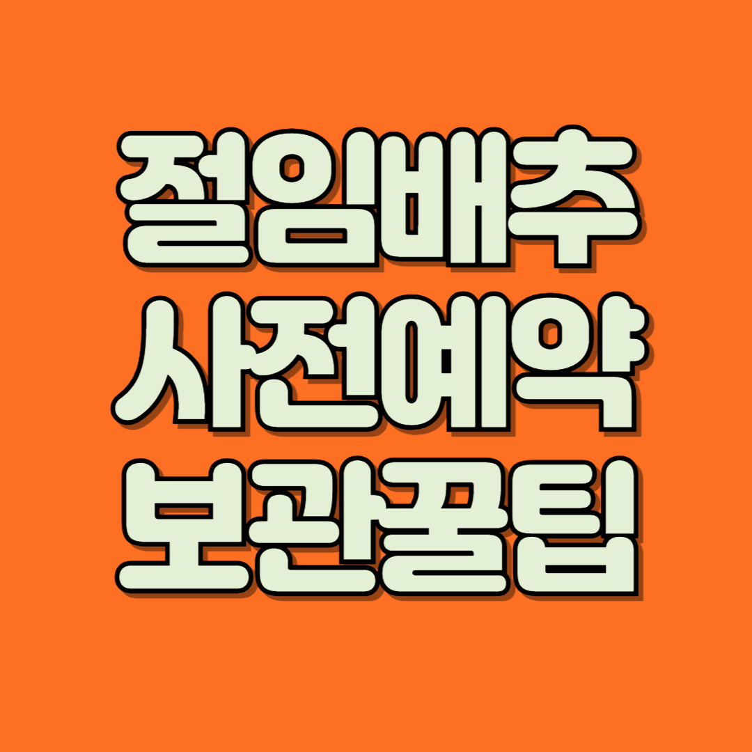 절임배추 사전예약 보관 방법 꿀팁