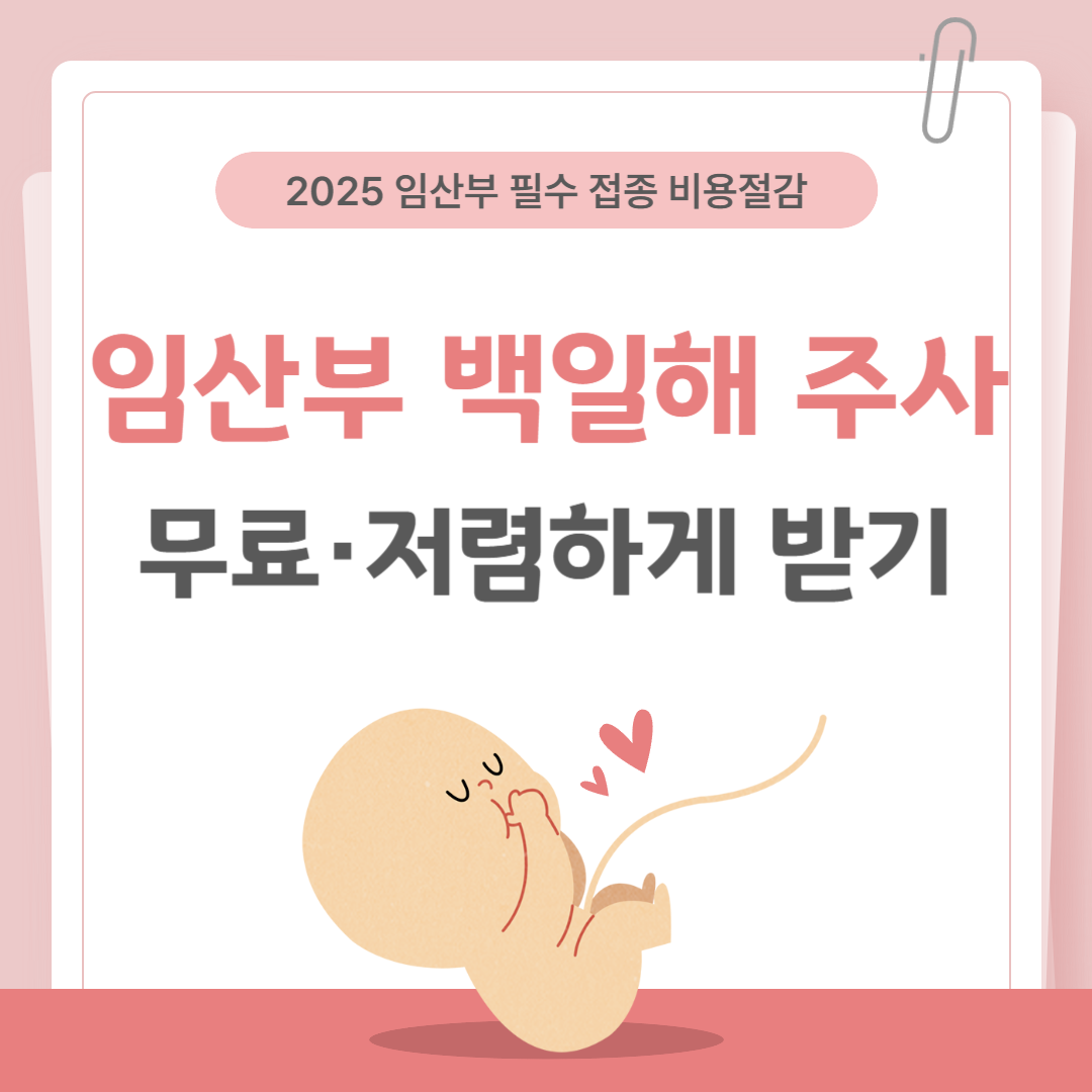 임산부 필수 접종 백일해 무료저렴하게 받는 방법 (2025 최신)